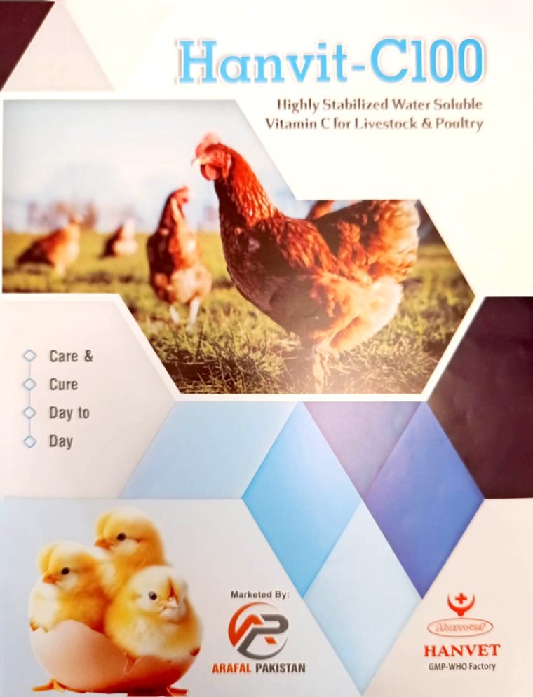 Hanvit-C100 water-soluble vitamin C, front label